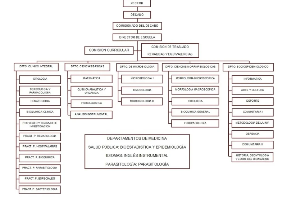 ORGANIGRAMA-BIONALISIS