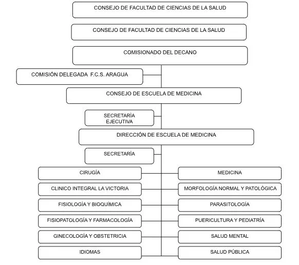 ORGANIGRAMA DIRECCIÓN DE ESCUELA DE MEDICINA